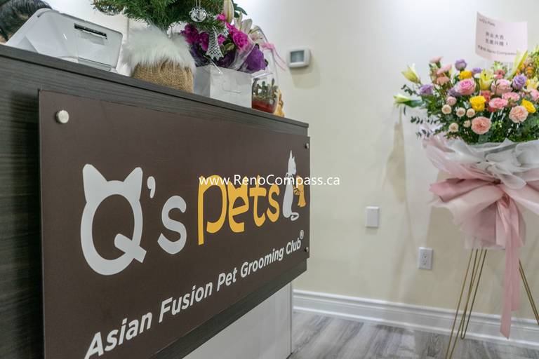 Stylish dark reception desk with wall signage and flower décor at Q’s Pets pet store renovation in Richmond Hill, completed by Reno Compass.