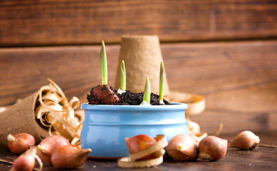 8a4d4b22e04ac9a4a4e0bc0d554e1d10