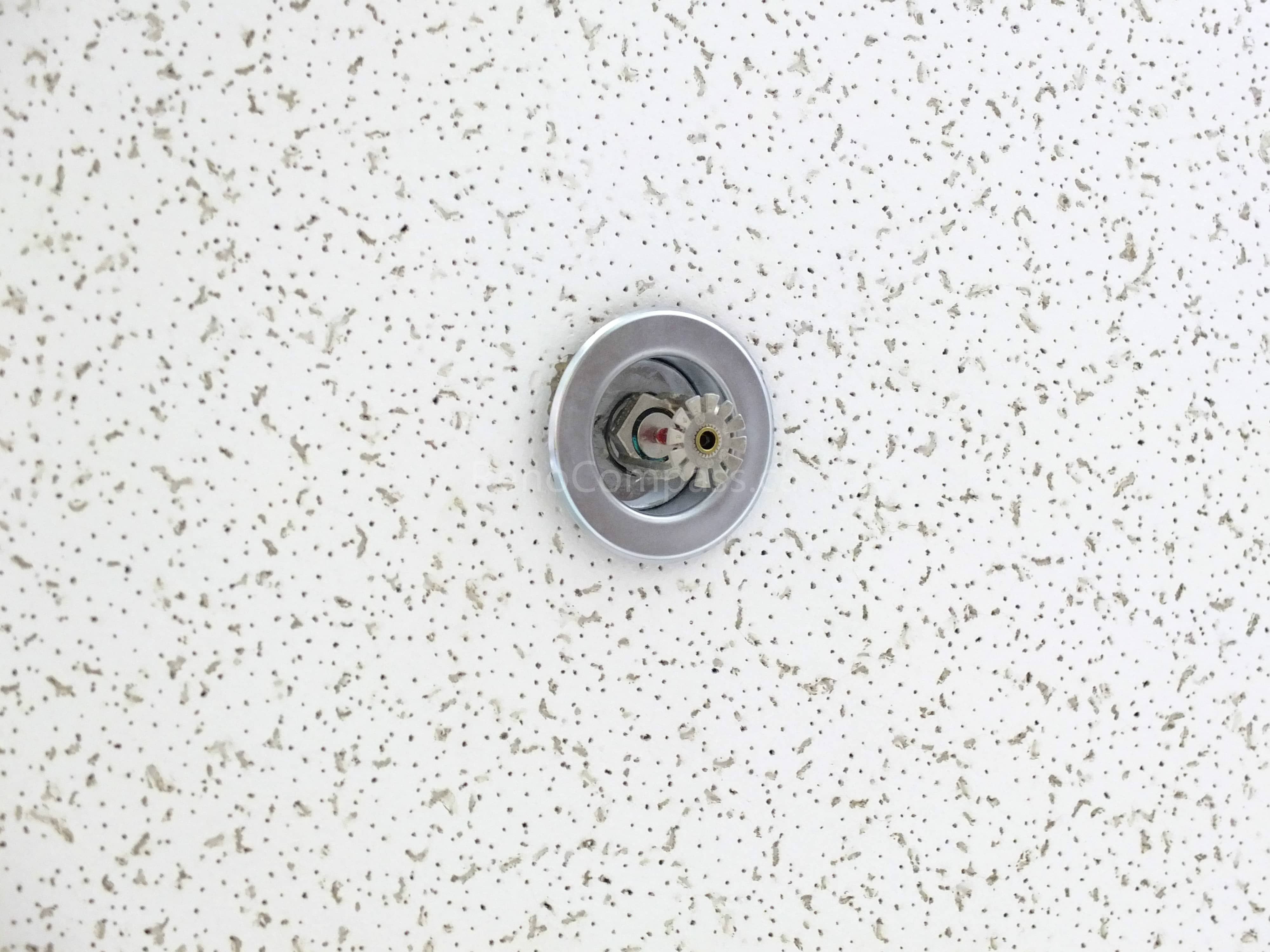Close-up detail of a ceiling-mounted fire sprinkler head installed within an acoustic drop ceiling during a North York office commercial renovation. This fire protection upgrade meets commercial building safety standards and code requirements, completed by a professional Toronto renovation company experienced in office and commercial compliance projects.