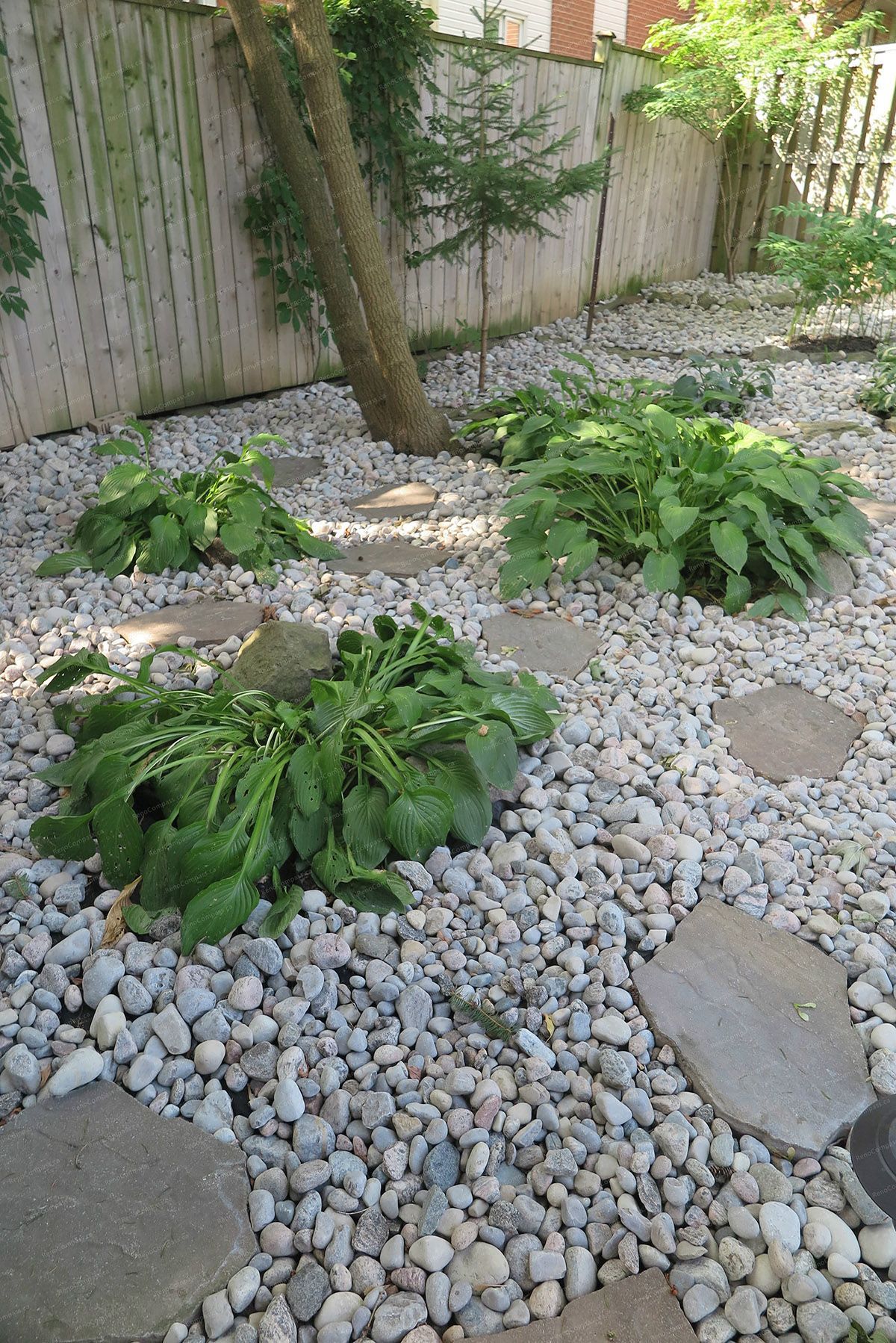 This image showcases a finished North York landscaping renovation featuring a low-maintenance decorative stone garden with natural stepping stones, mature trees, and integrated pathway lighting. The design enhances backyard drainage, visual depth, and usability while creating a calm, modern outdoor environment. Completed by a Toronto Renovation Company experienced in residential landscaping and outdoor space upgrades.