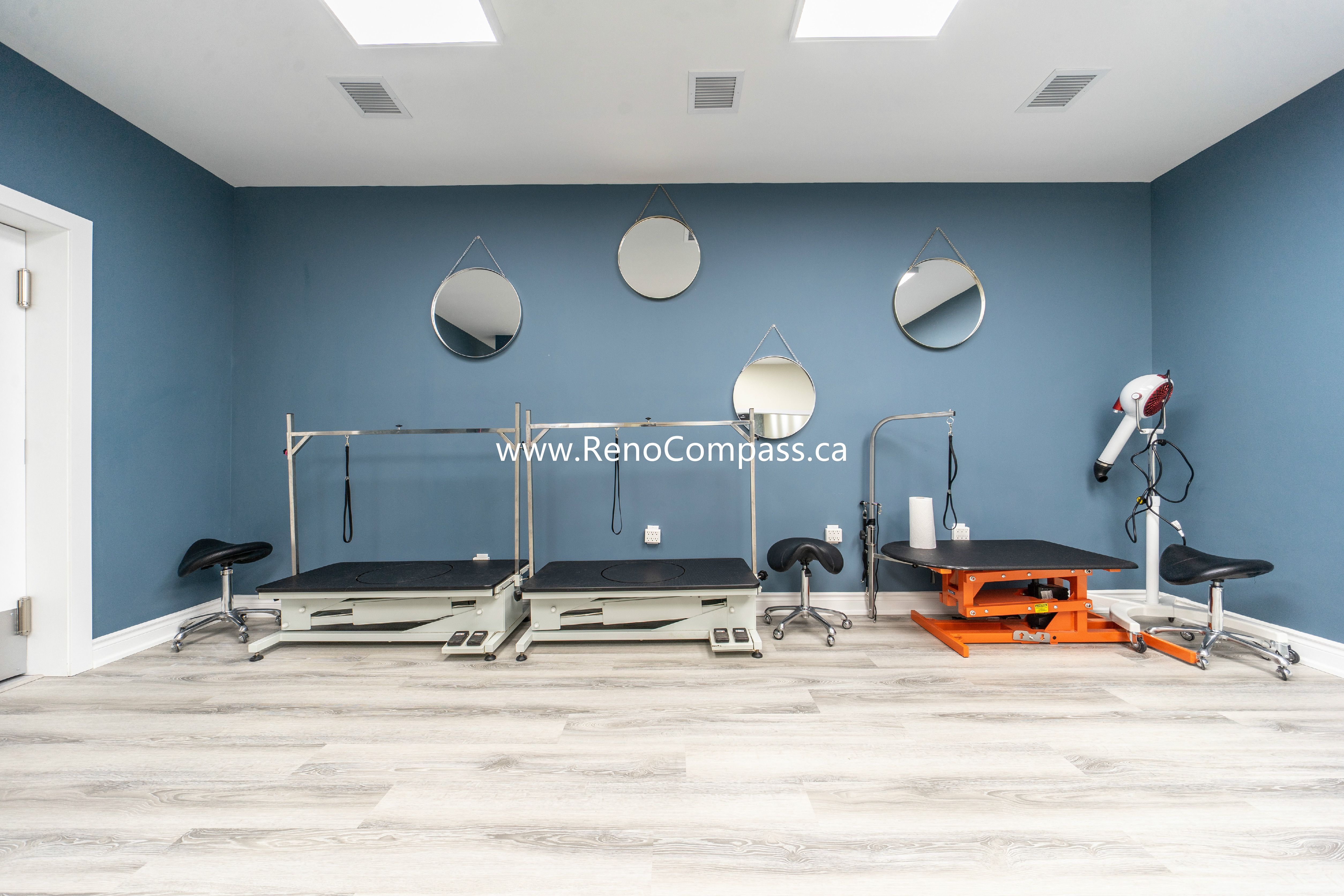 Accent blue wall and modern lighting added to enhance the retail area during Q’s Pets store renovation in Richmond Hill.