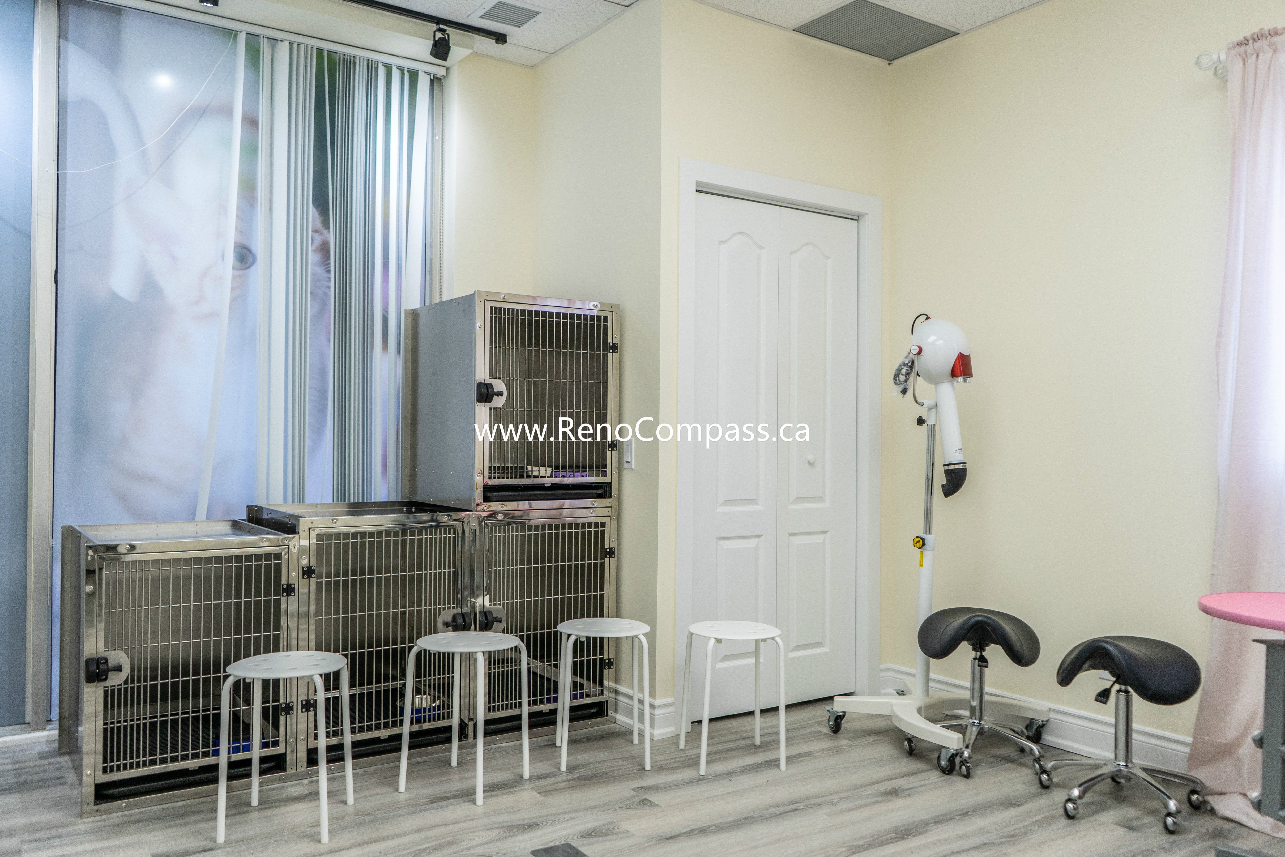 Pet grooming prep area and storage section at Q’s Pets Richmond Hill pet store, designed for efficiency and hygiene with bright modern finishes