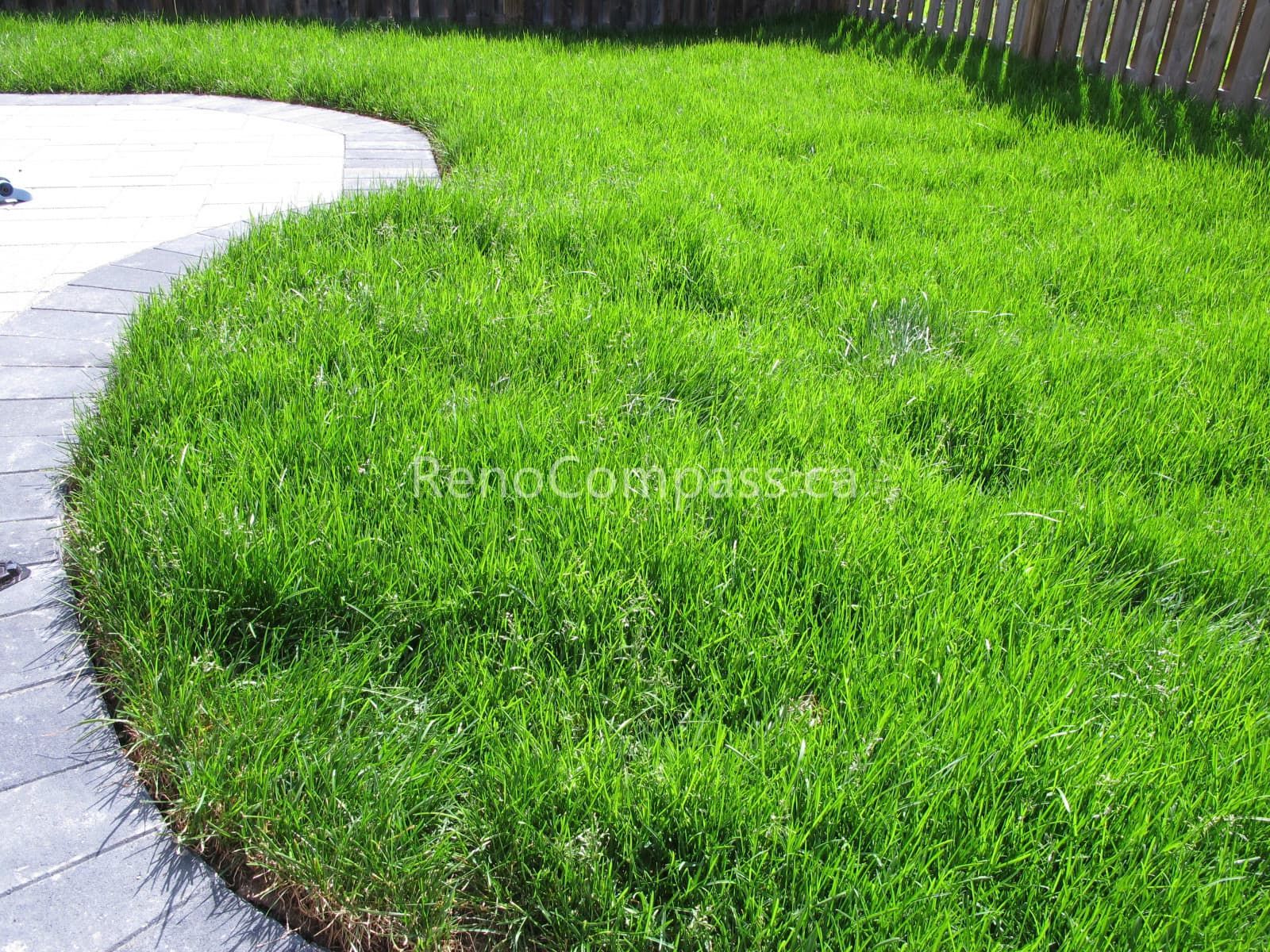 Vaughan Landscaping Renovation - Image 2