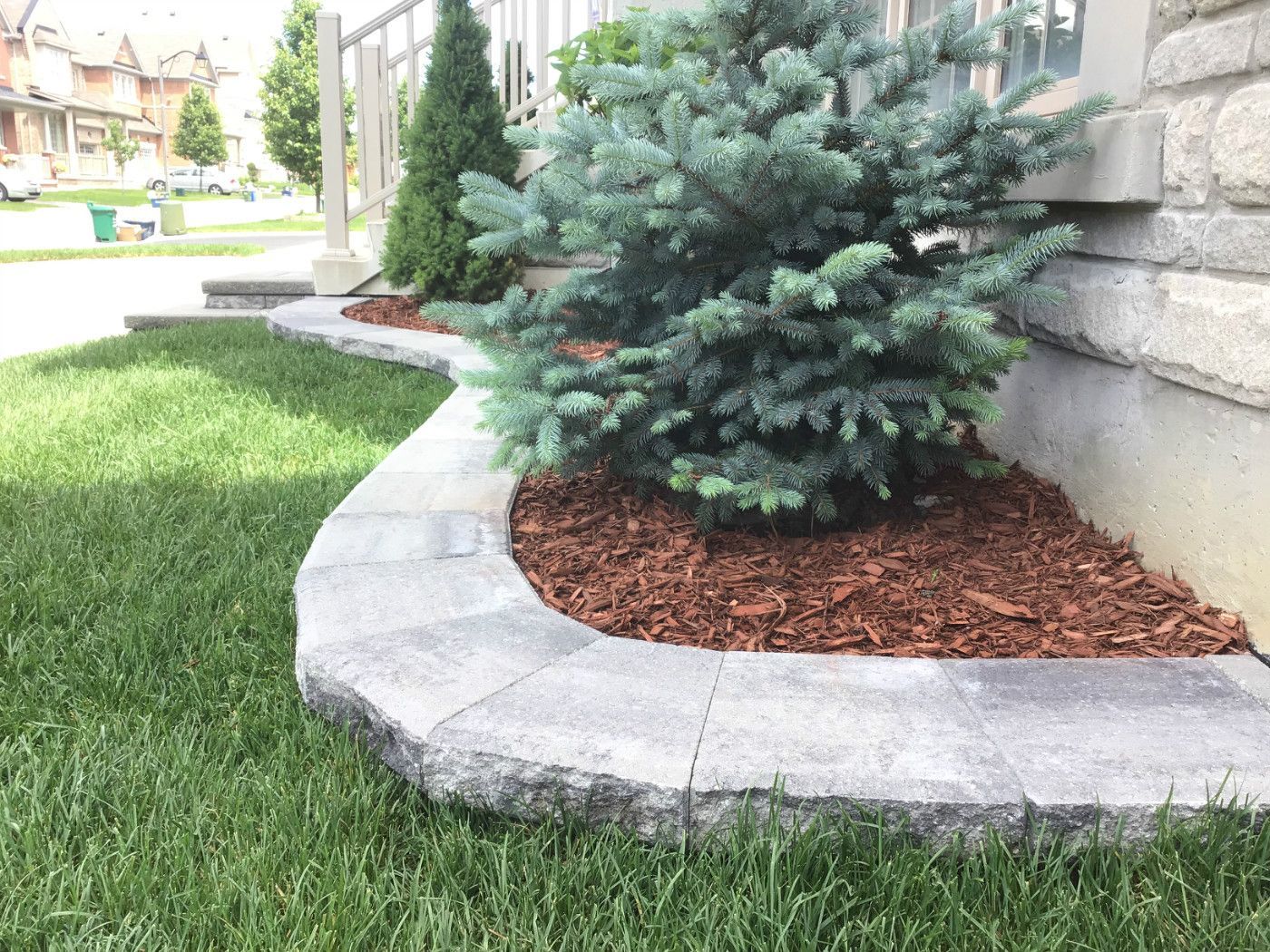 This Markham landscaping project features a neatly curved stone garden border surrounding evergreen shrubs with fresh mulch finishing. The design creates a clean separation between lawn and planting area while enhancing curb appeal with a natural and well-maintained look.