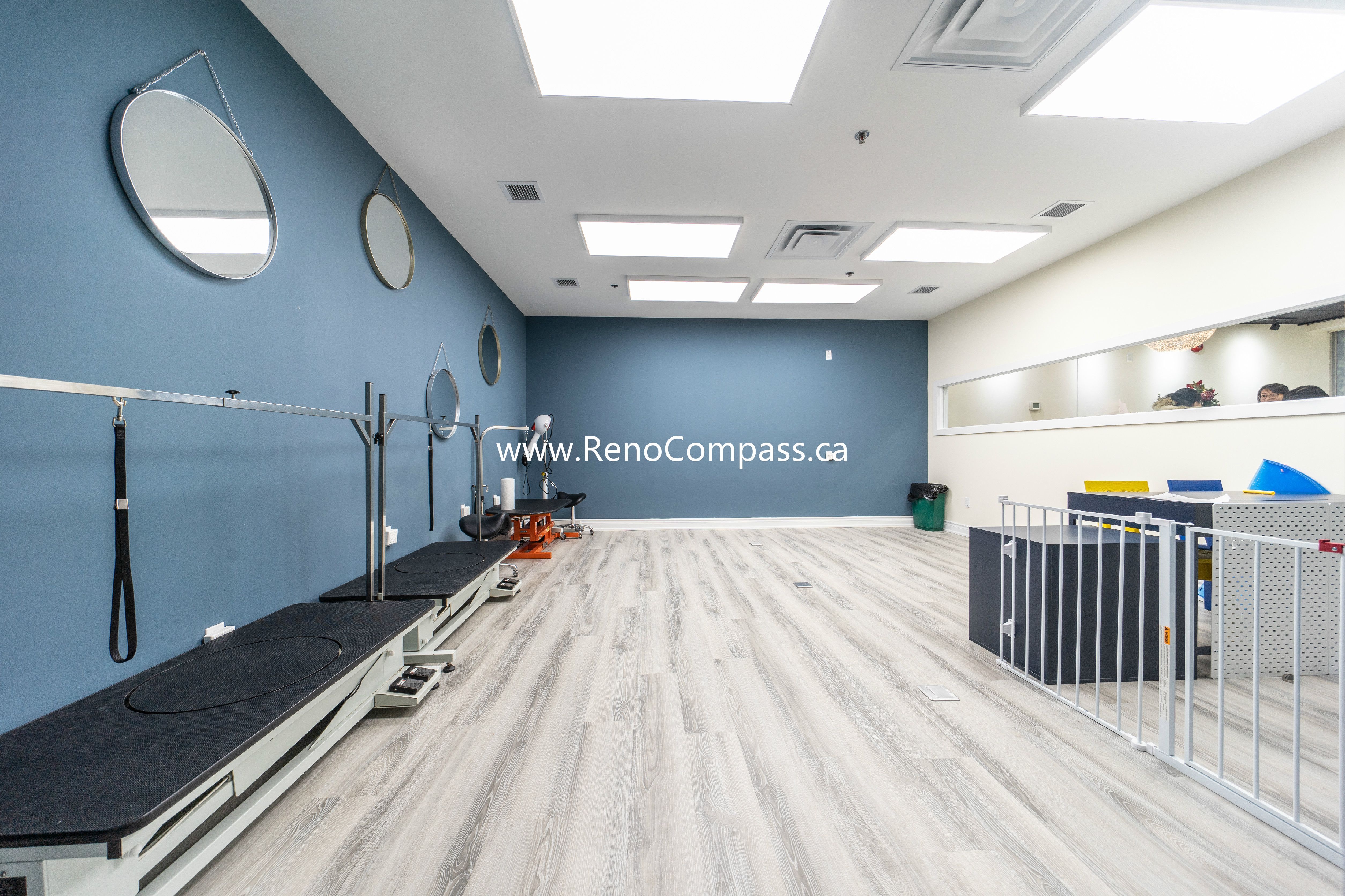 Completed section of Q’s Pets pet store renovation in Richmond Hill showcasing blue walls, tiled floor, and updated lighting.