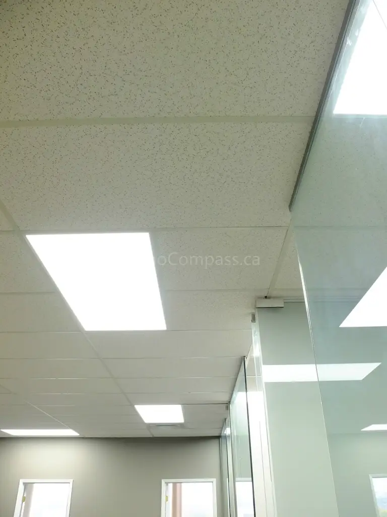 This photo shows a newly renovated office ceiling in North York, featuring modern suspended ceiling tiles and bright energy-efficient LED panel lights. The clean design enhances workspace illumination and creates a professional office environment.