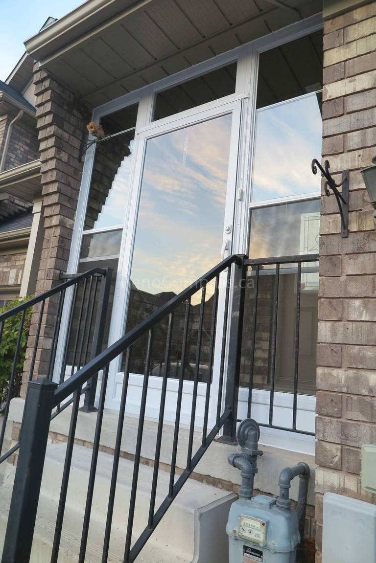 Markham Storm Door