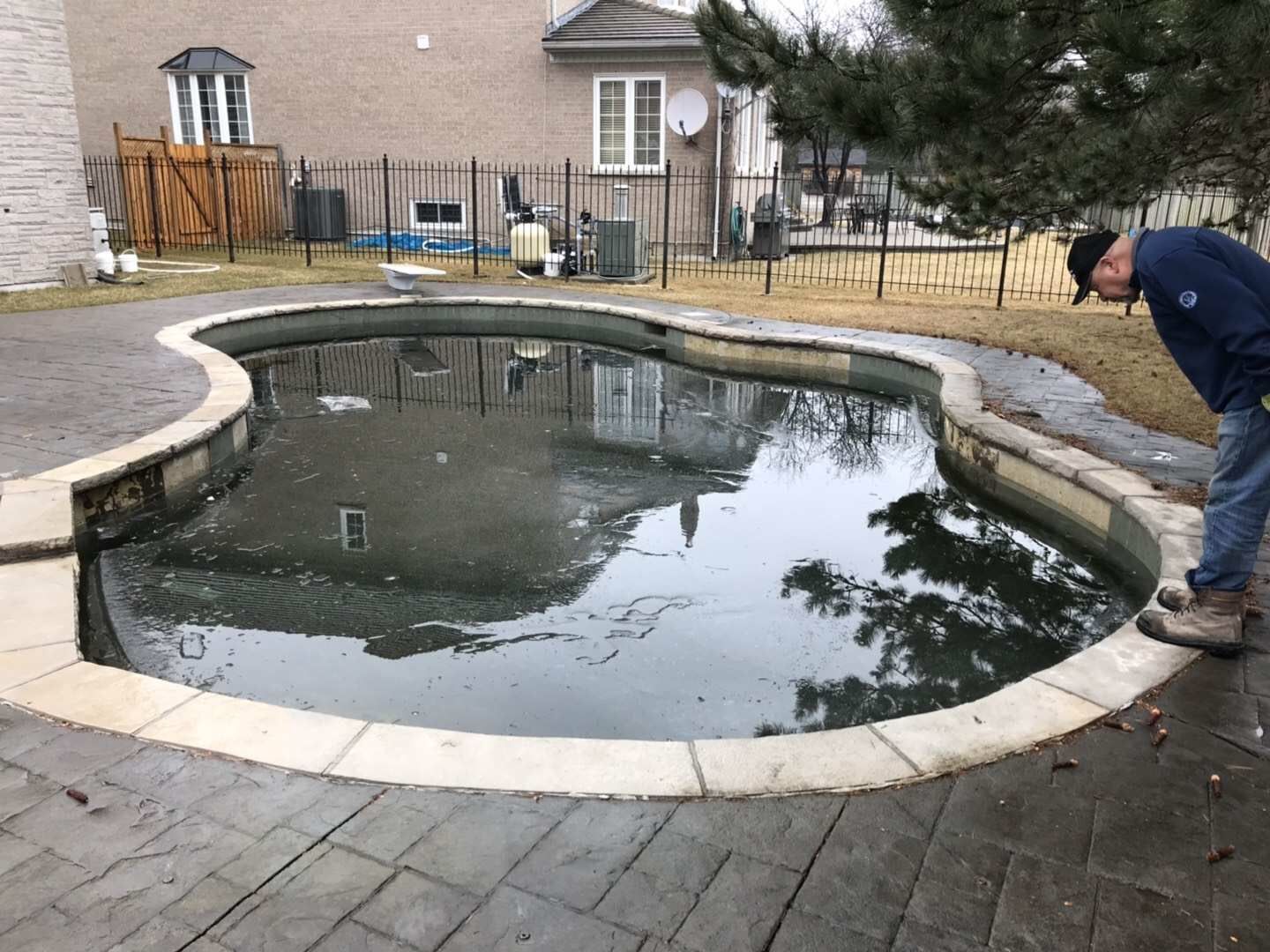 This shows a curved backyard swimming pool during inspection or renovation in Toronto. The pool water looks murky, with a technician examining it — suggesting maintenance, resurfacing, or refurbishment work.
