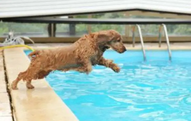 Victoria Day Renovation Ideas Toronto | Summer Projects - Blog Cover