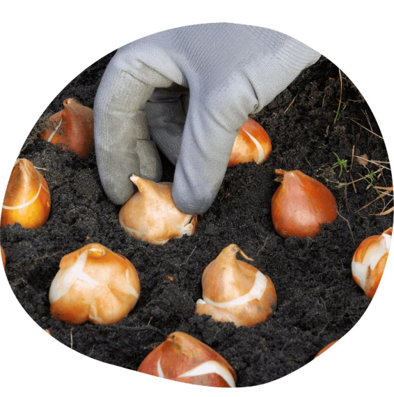 18df29e4ba5f9a4a814d2352177e2eb2