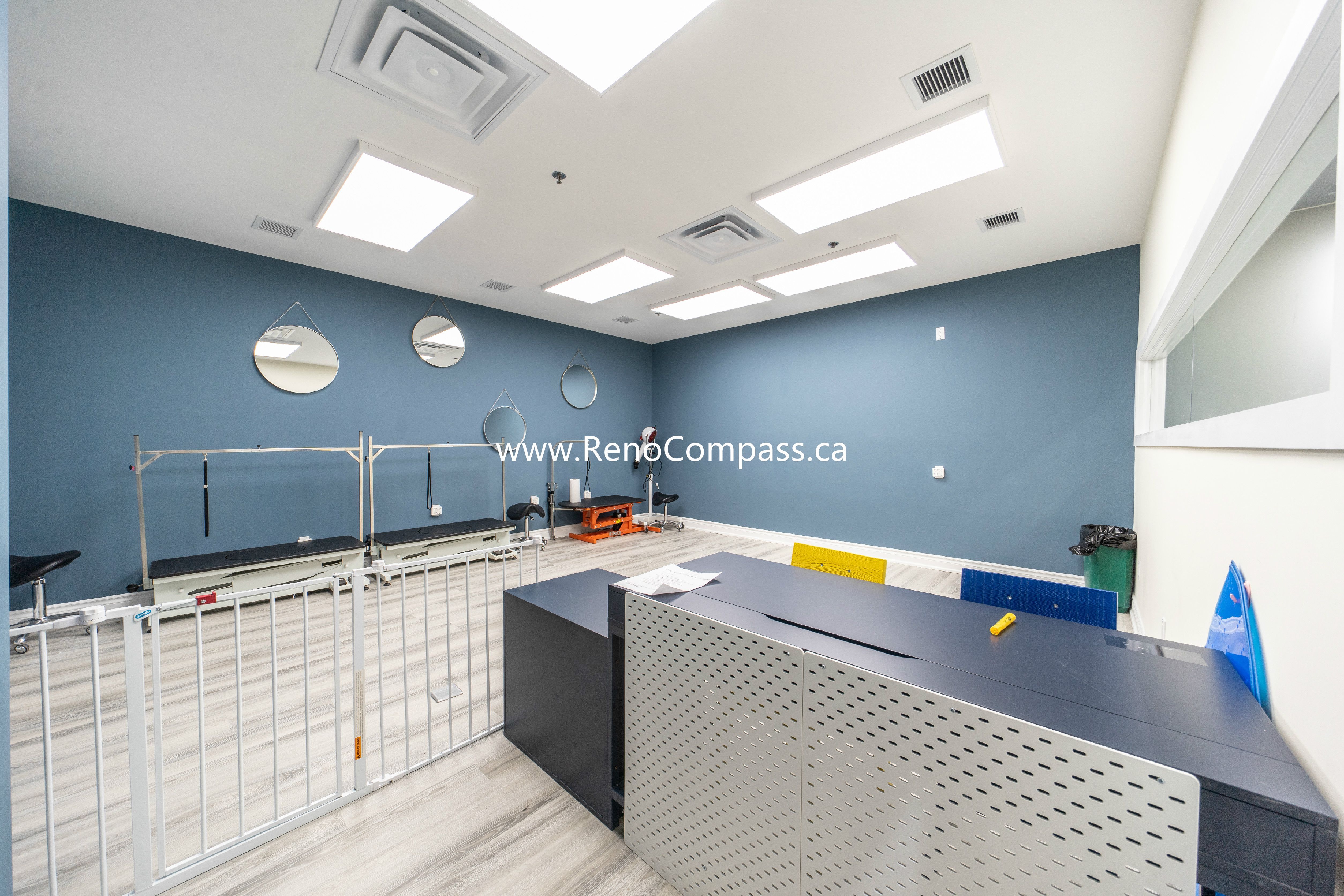 Newly renovated reception and grooming area at Q’s Pets in Richmond Hill featuring blue accent walls, stainless fixtures, bright lighting, and modern retail counter design by RenoCompass.