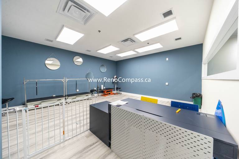 Newly renovated reception and grooming area at Q’s Pets in Richmond Hill featuring blue accent walls, stainless fixtures, bright lighting, and modern retail counter design by RenoCompass.