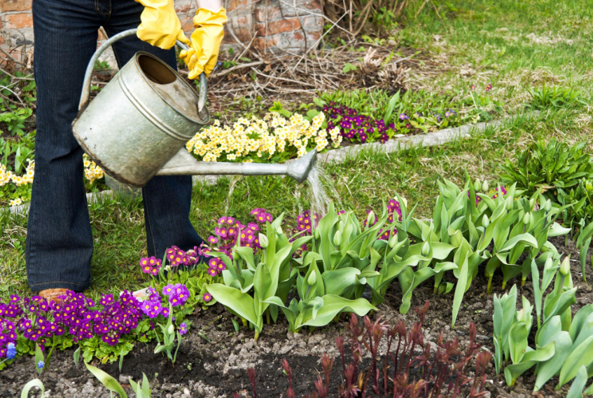 D3ee69f4f03db909c33ade91e1163565