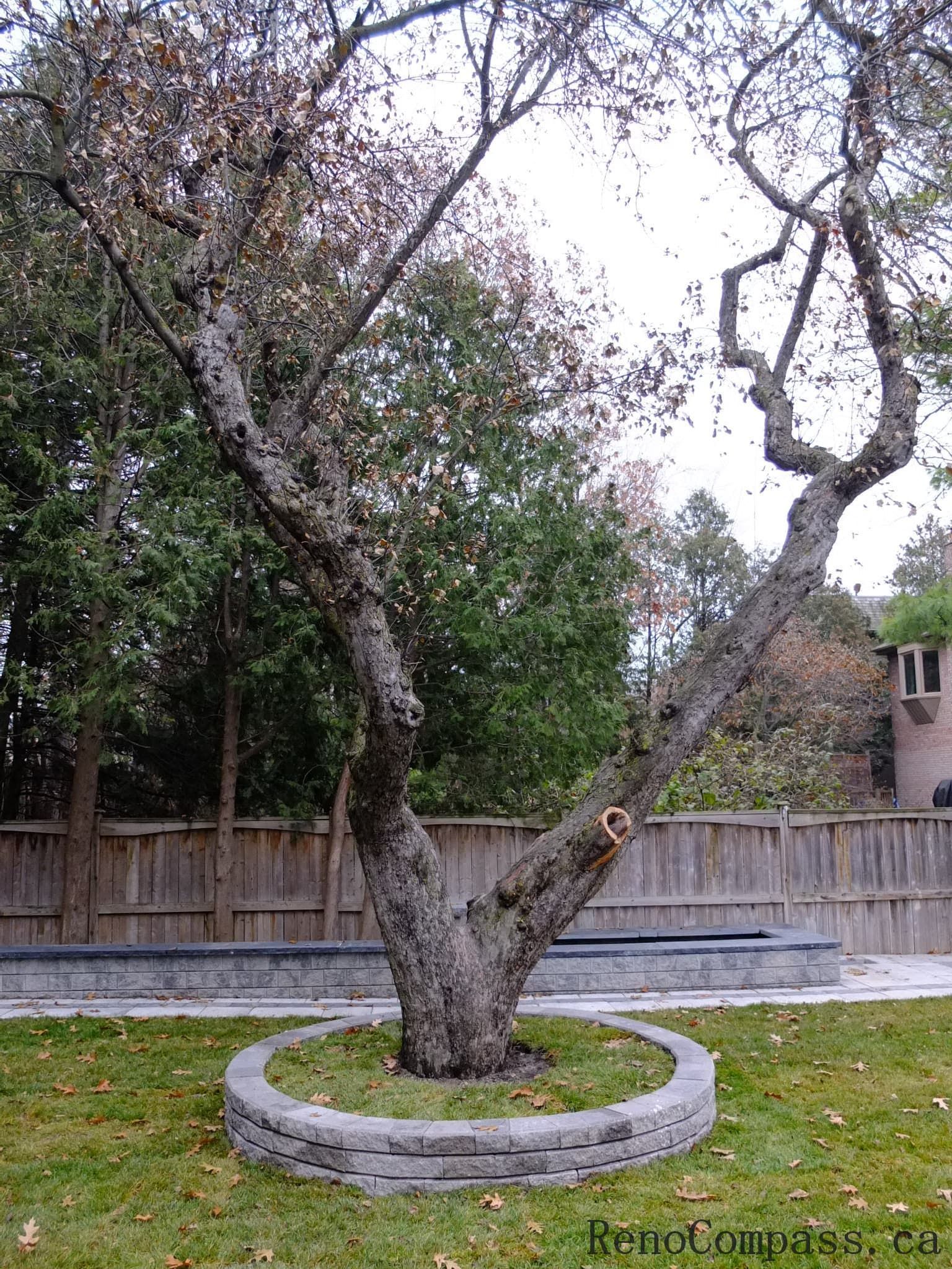 Toronto Landscaping Renovation and Design - Image 19