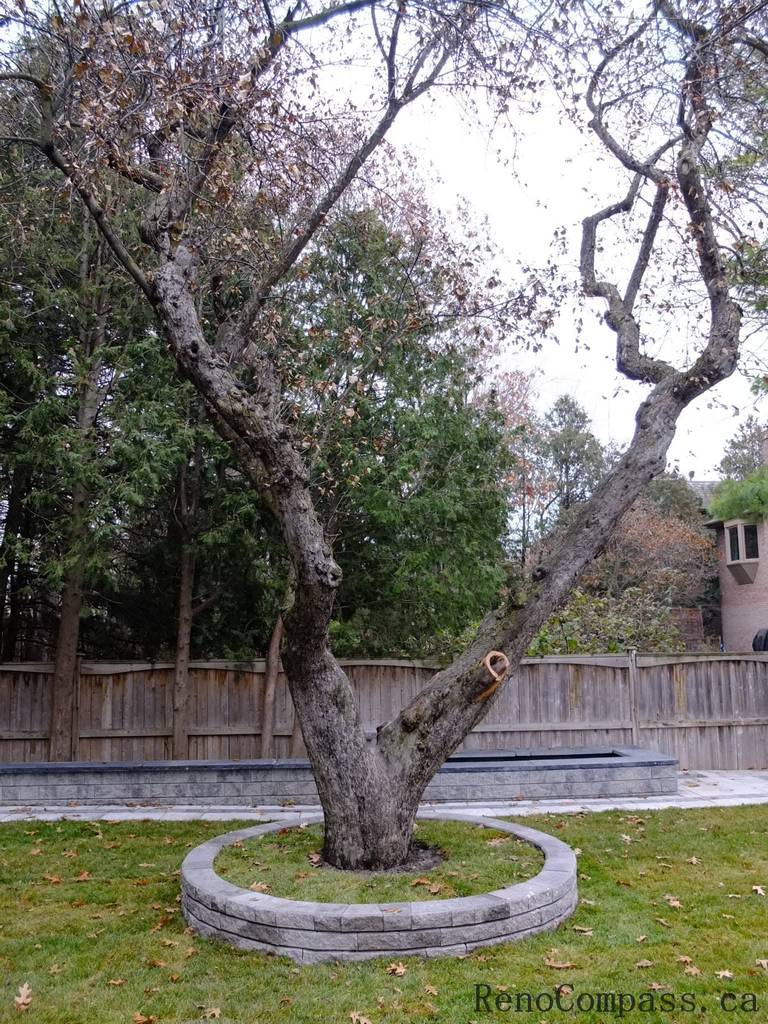 Toronto Landscaping Renovation and Design - Image 19