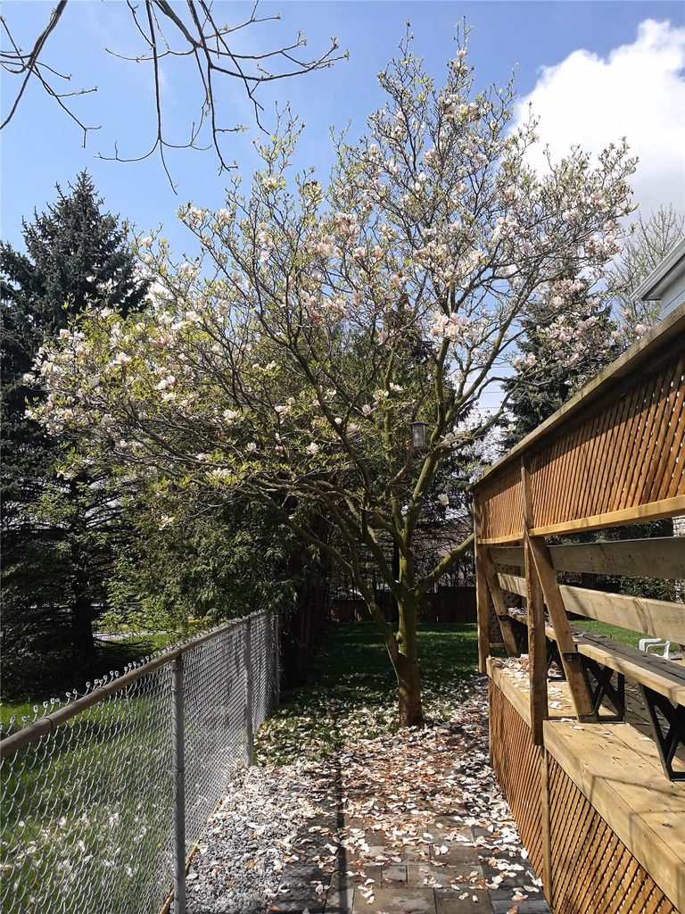 Markham Landscaping Renovation - Image 2