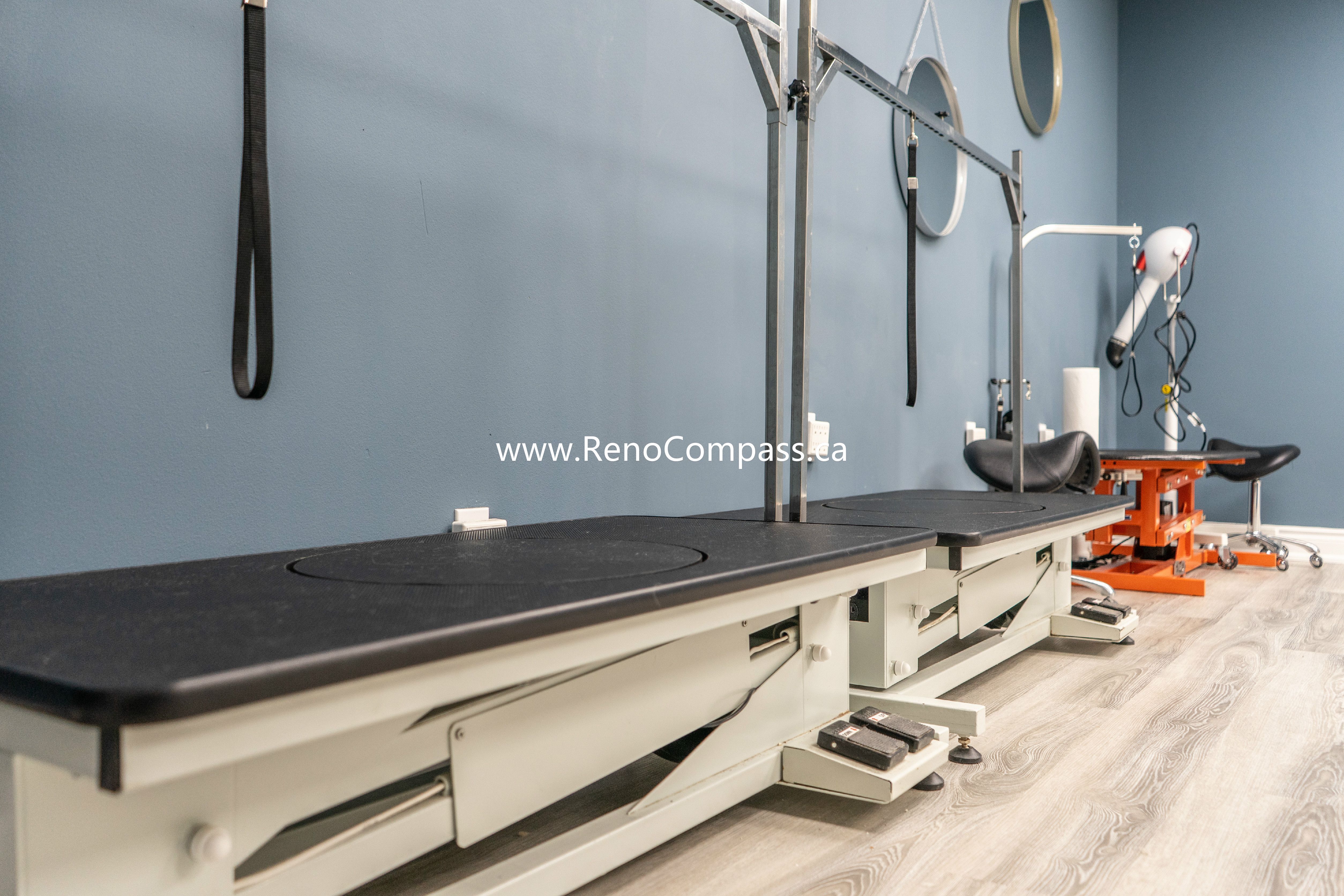 Luxury vinyl flooring installation inside Q’s Pets pet store in Richmond Hill, part of a full interior renovation by Reno Compass.