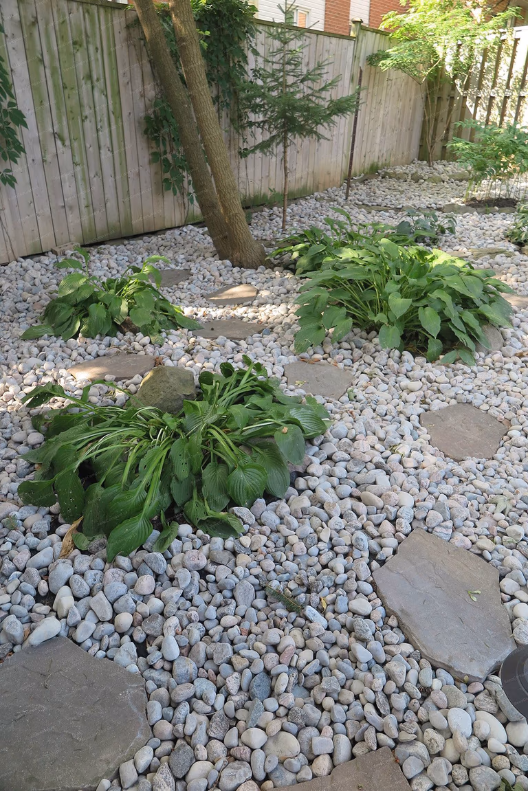 North York outdoor landscaping project showcasing decorative white gravel garden beds, newly planted shrubs, natural lawn area, and a custom wooden pavilion. Designed and built by Reno Compass to create a clean, low-maintenance backyard with a relaxing outdoor living and garden space.