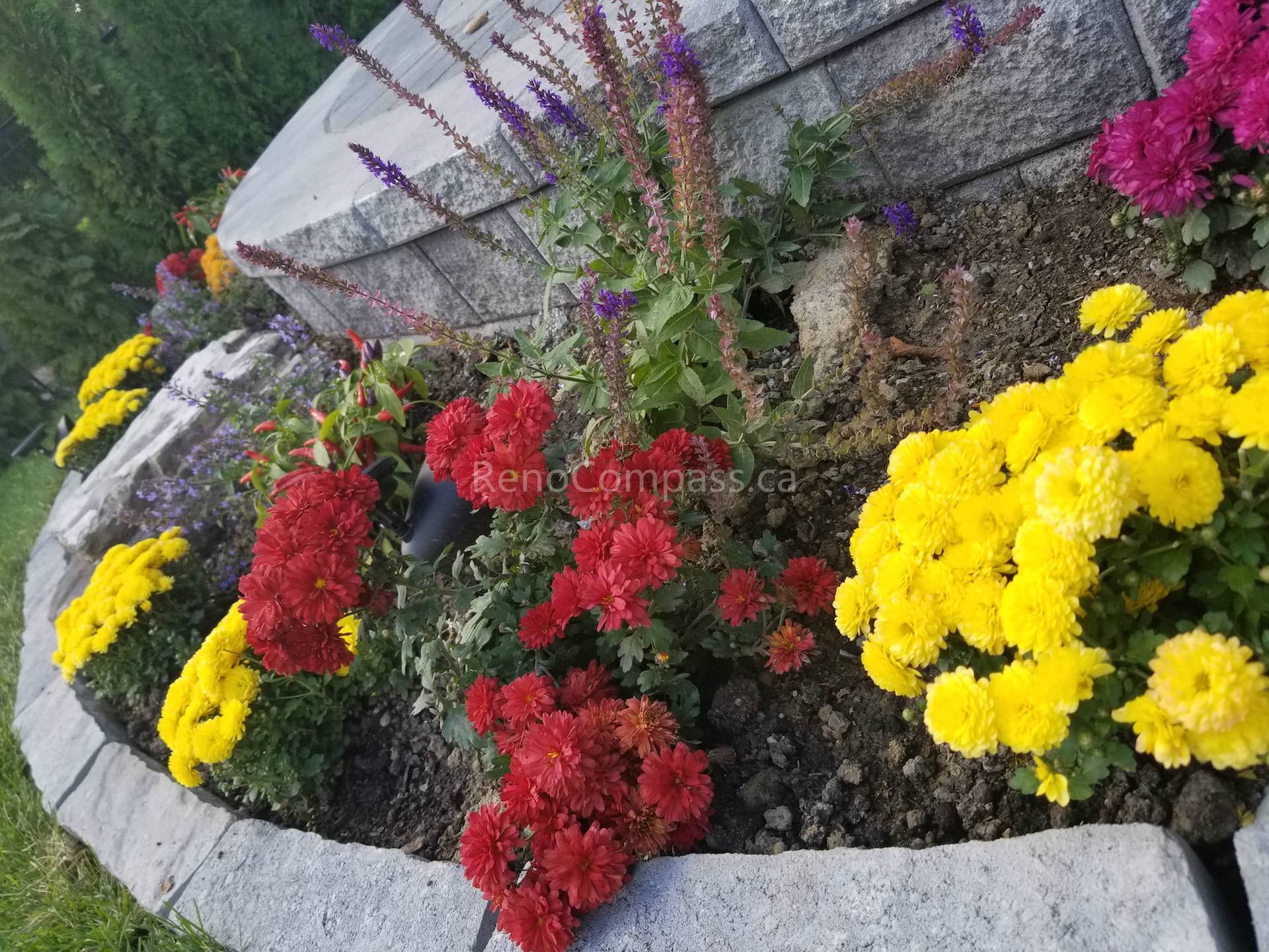 This Toronto landscaping renovation highlights a detailed garden bed design featuring vibrant seasonal flowers, natural stone edging, and integrated solar landscape lighting. Carefully arranged plantings add color and texture to the front yard while enhancing nighttime visibility and curb appeal. Completed as part of a professional Toronto landscaping upgrade, this low-maintenance flower bed brings a polished, welcoming finish to the home’s exterior design.