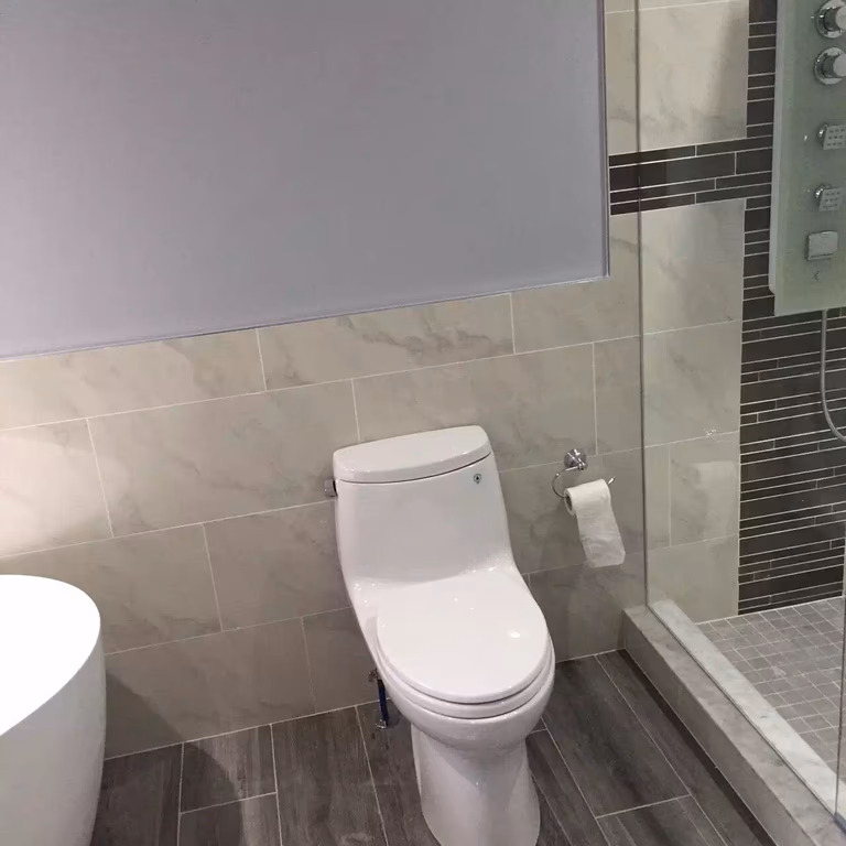 Contemporary Toronto bathroom renovation showcasing a sleek one-piece toilet, large porcelain wall tiles, glass shower enclosure, and modern rainfall shower system for a clean and functional design.