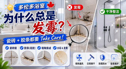 多伦多浴室瓷砖为什么总是发霉？2026 浴室瓷砖、胶条与防霉清洁完整指南
