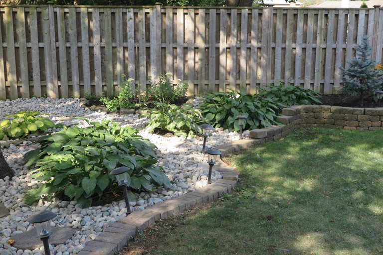North York outdoor landscaping project showcasing decorative white gravel garden beds, newly planted shrubs, natural lawn area, and a custom wooden pavilion. Designed and built by Reno Compass to create a clean, low-maintenance backyard with a relaxing outdoor living and garden space.