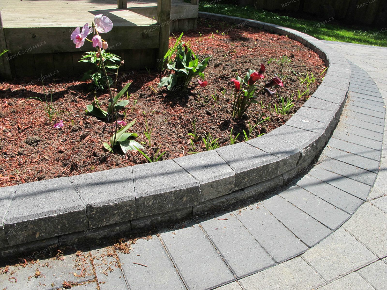 This Markham outdoor landscaping project showcases a beautifully designed interlock patio with curved stone borders and a custom garden bed layout. The spacious paved backyard provides a clean, modern outdoor living area perfect for relaxation and gatherings. Surrounded by mature trees and enhanced with professional garden design, this renovation highlights Reno Compass Inc.’s expertise in backyard transformation, combining durable interlock installation with elegant landscaping to create a functional and visually appealing outdoor space.