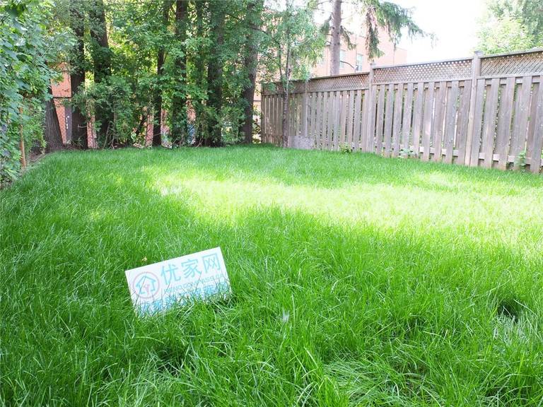 This photo shows the existing backyard lawn condition in North York before the landscaping renovation and interlocking work. The site was carefully assessed for grading, drainage, and soil condition to prepare for a long-lasting interlock base. Proper groundwork is a key step in any professional landscaping renovation to ensure durability and clean final results.