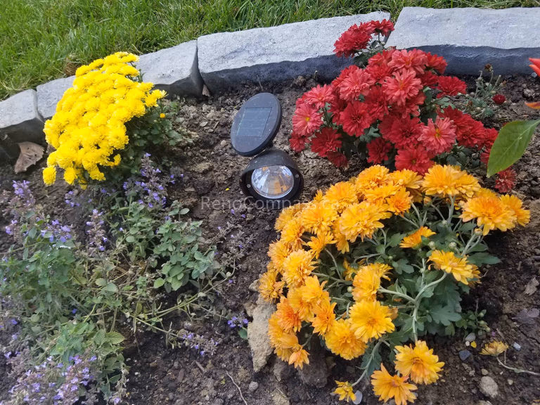 This Toronto landscaping renovation highlights a detailed garden bed design featuring vibrant seasonal flowers, natural stone edging, and integrated solar landscape lighting. Carefully arranged plantings add color and texture to the front yard while enhancing nighttime visibility and curb appeal. Completed as part of a professional Toronto landscaping upgrade, this low-maintenance flower bed brings a polished, welcoming finish to the home’s exterior design.