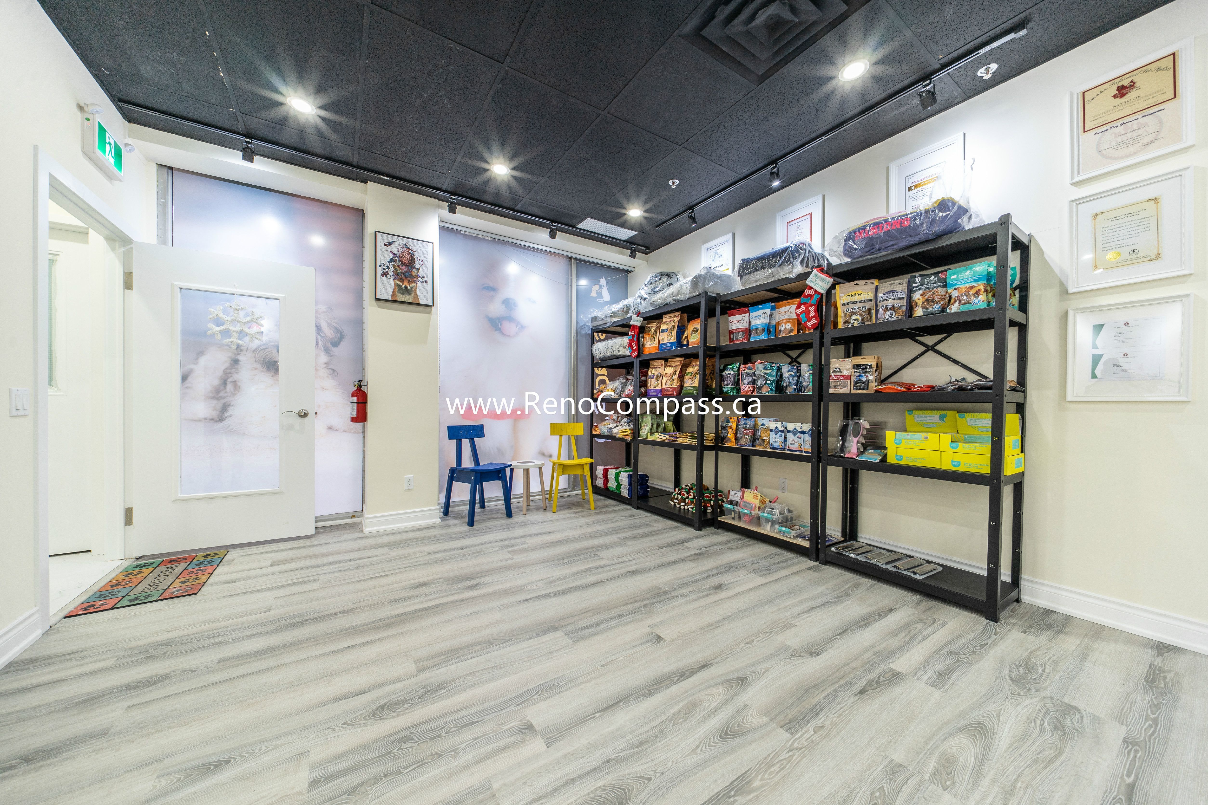 Modern pet store retail display area at Q’s Pets in Richmond Hill featuring new flooring, custom shelving for pet products, wall art, and bright lighting design by RenoCompass