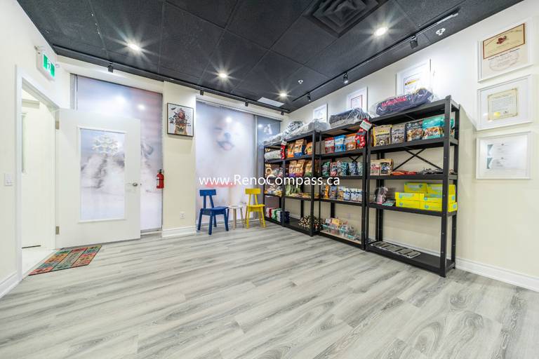 Modern pet store retail display area at Q’s Pets in Richmond Hill featuring new flooring, custom shelving for pet products, wall art, and bright lighting design by RenoCompass