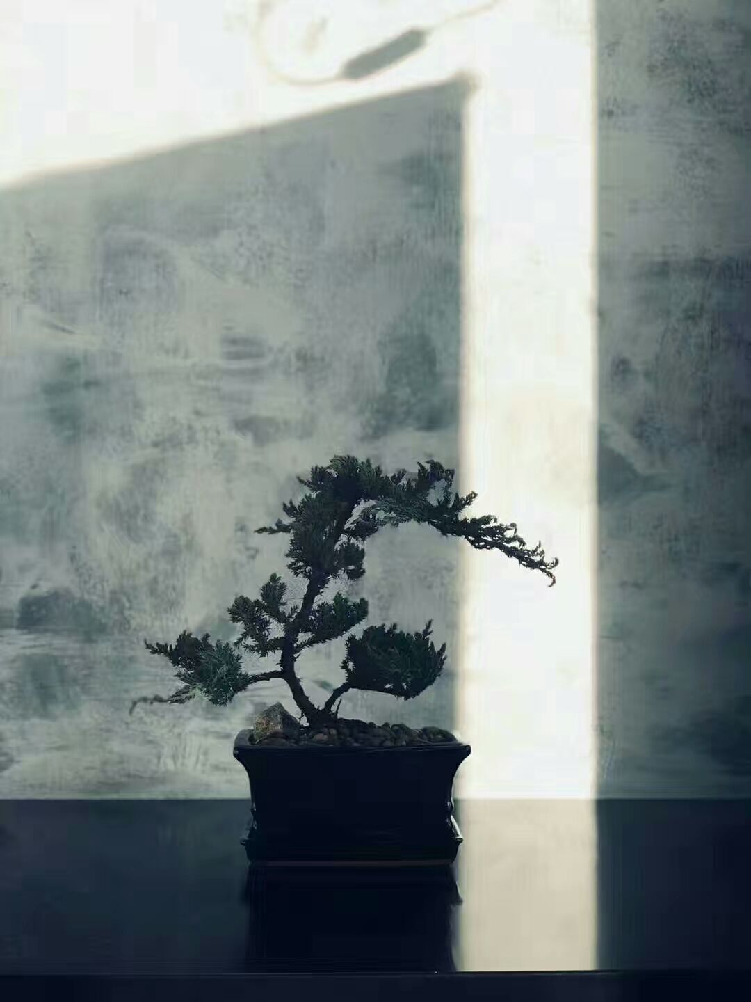 士嘉堡Scarborough 奶茶店装修 - Image 7