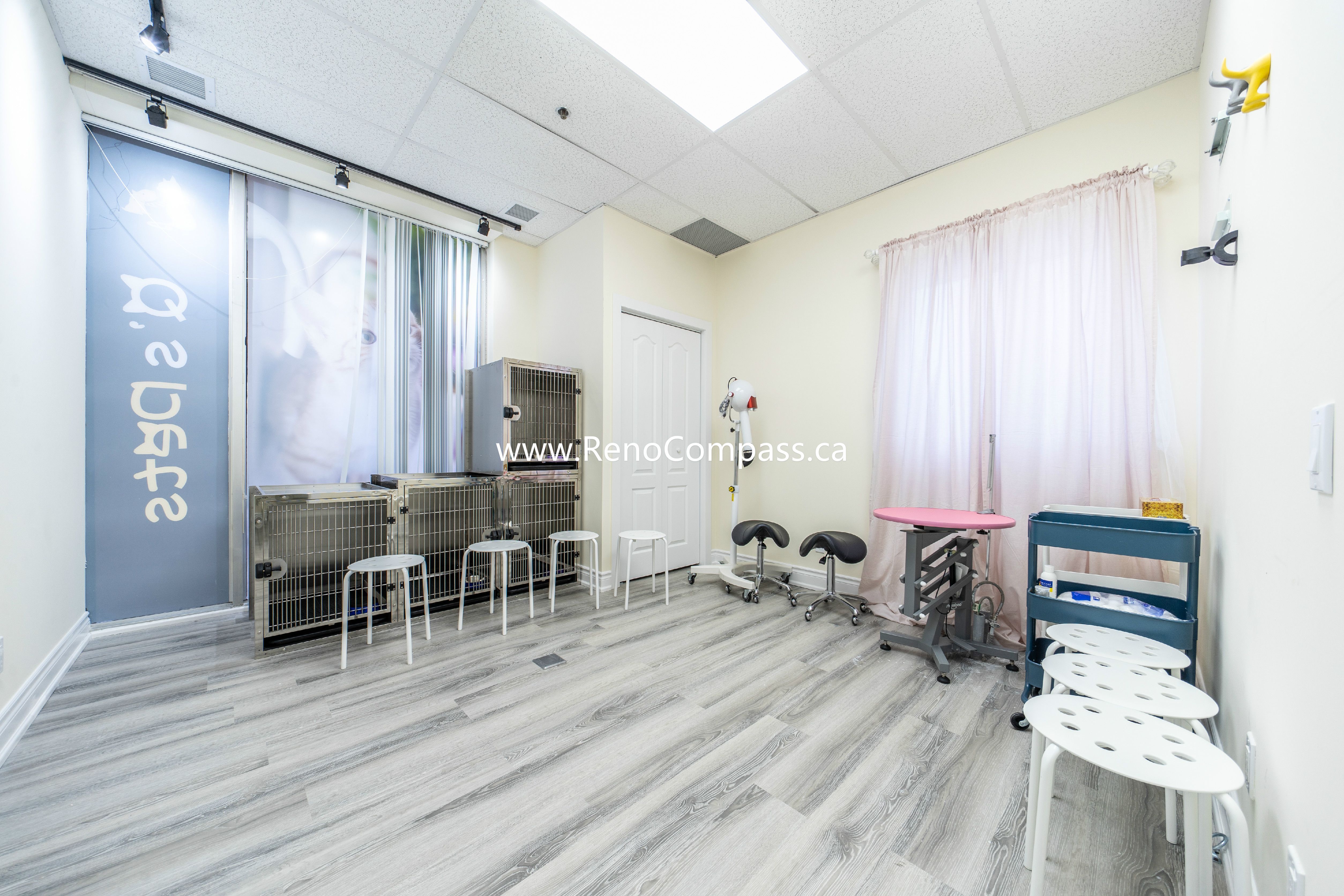Newly renovated pet store interior with fresh white walls and lighting upgrades during Q’s Pets Richmond Hill renovation project.