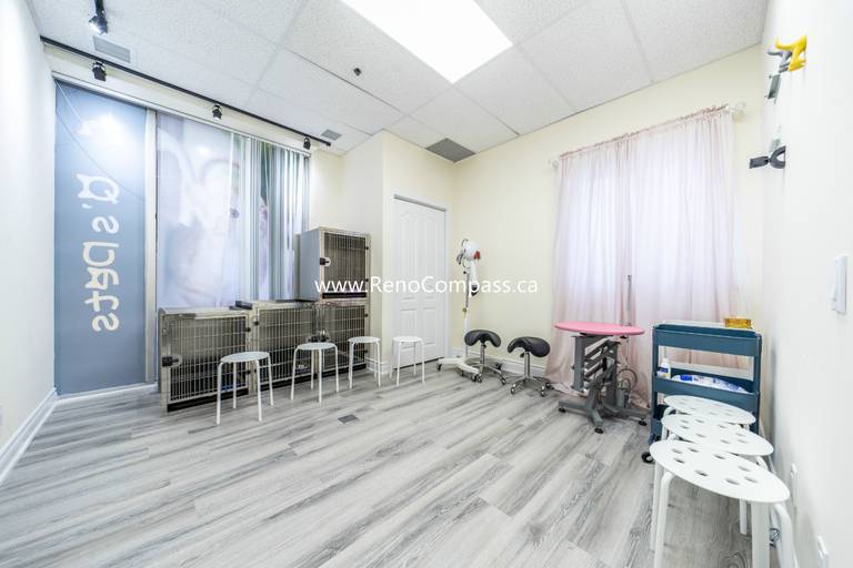Newly renovated pet store interior with fresh white walls and lighting upgrades during Q’s Pets Richmond Hill renovation project.