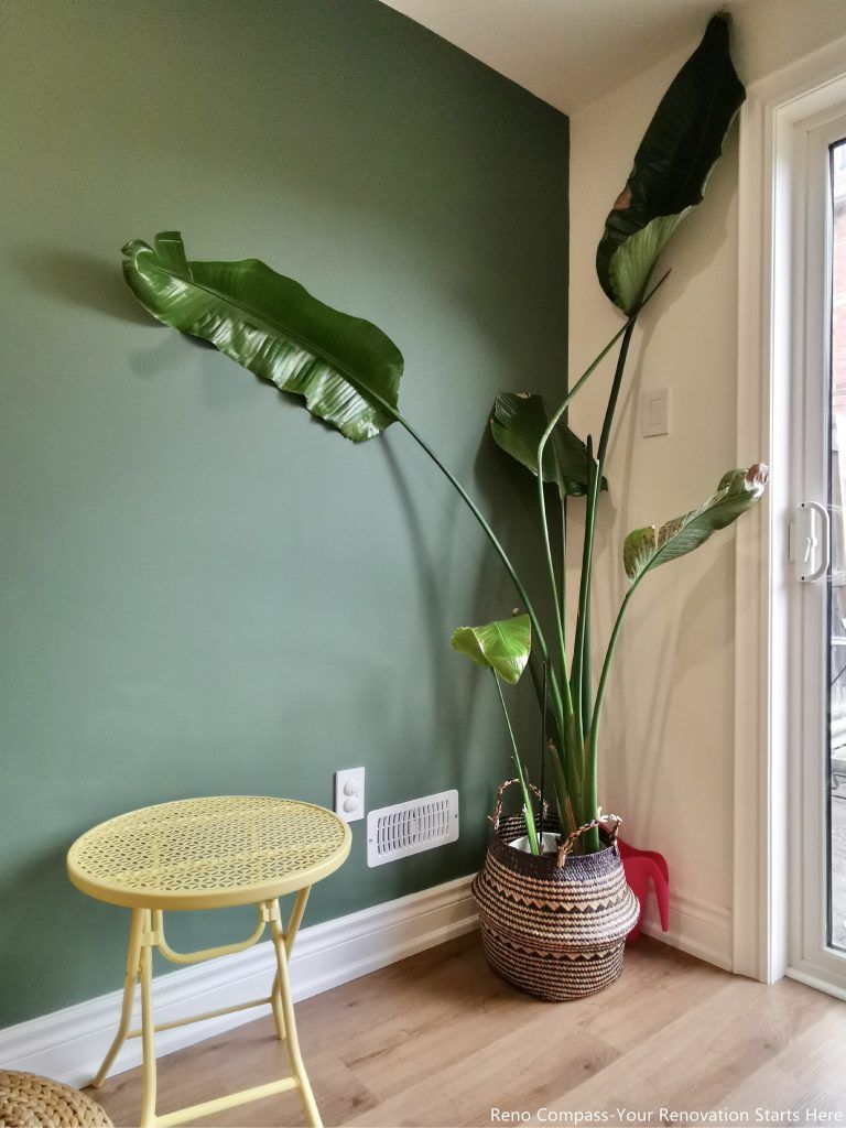 This image highlights a detail view of a renovated basement in Vaughan, focusing on a green accent wall paired with upgraded wood flooring and natural light from a nearby patio door. The accent wall adds visual depth and warmth to the space, while the consistent flooring enhances durability and continuity throughout the basement. Decorative elements and indoor plants soften the overall look, creating a comfortable and inviting environment suitable for relaxation or casual use. This basement renovation reflects the careful design balance and craftsmanship delivered by a professional Toronto renovation company specializing in functional living spaces.