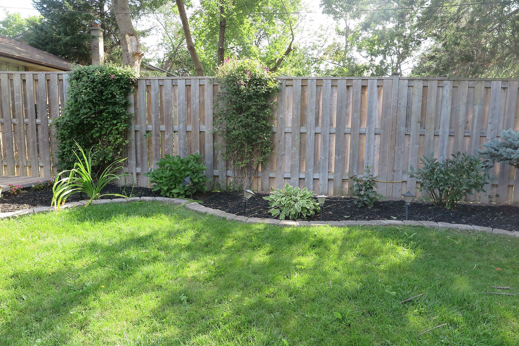 This image shows a North York landscaping renovation focused on fence-line planting, curved garden bed edging, and refreshed lawn integration. The layered greenery softens the wooden fence while improving backyard privacy, structure, and seasonal visual balance. The project was completed by a Toronto Renovation Company specializing in residential landscaping and garden layout optimization.