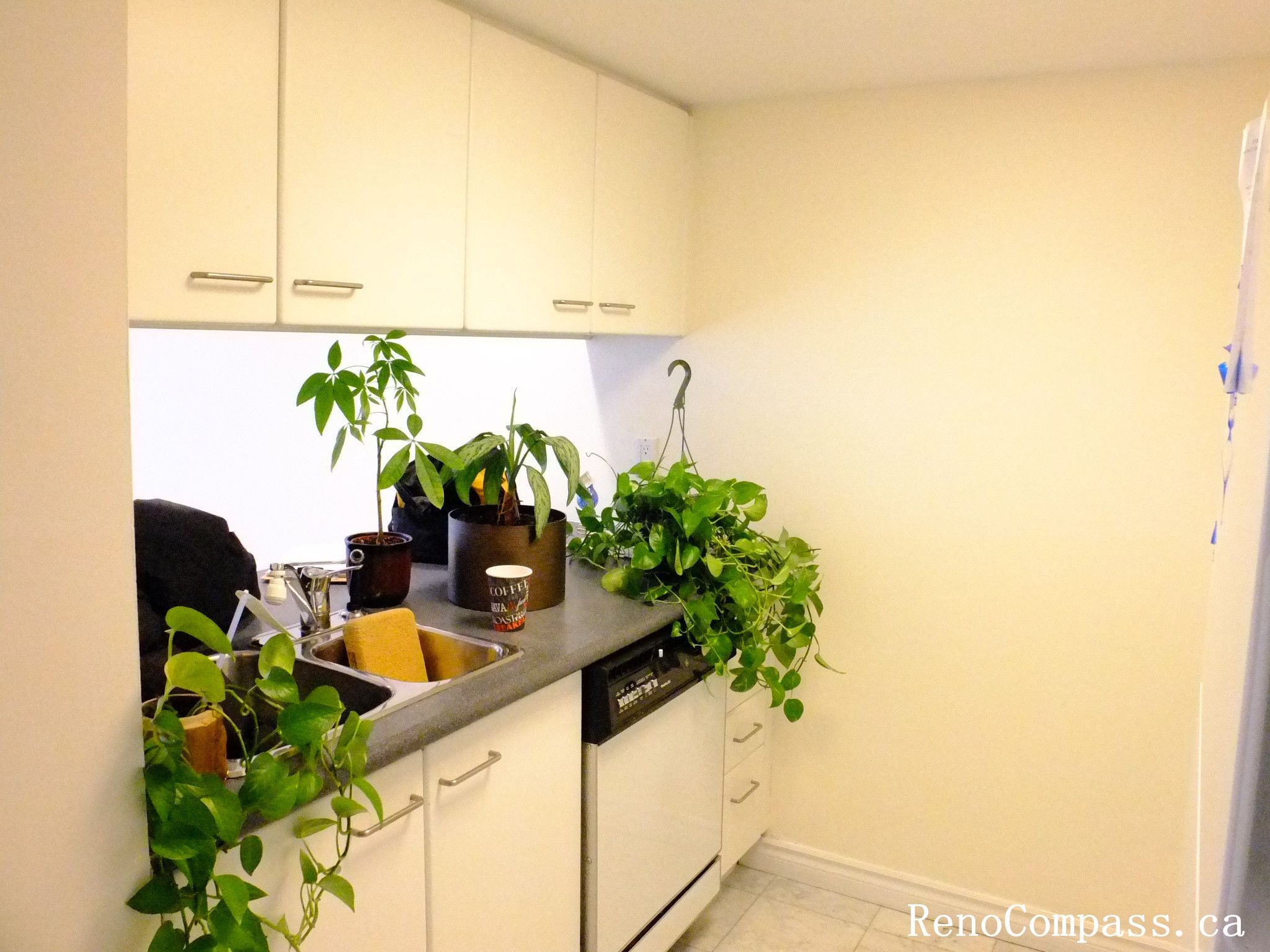 Condo kitchen renovation in Toronto featuring upgraded countertops, modern cabinetry, and a functional sink area. The renovation improves kitchen usability while maintaining a clean and practical layout for everyday living.